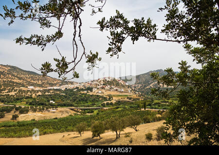 Paysage autour de la ville sainte de Moulay Idriss Zerhoun, près de Meknès, Maroc Banque D'Images