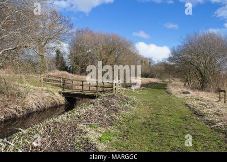 Au début du printemps winterA vue le long d'un fossé de drainage avec un pont en bois et la porte à travers elle sur le Somerset Levels avec ciel bleu et quelques nuages. Banque D'Images