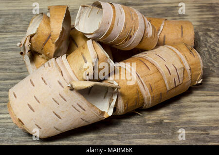 Rouleaux de bois sur écorce de bouleau Banque D'Images