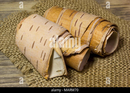 Rouleaux de bois sur écorce de bouleau Banque D'Images