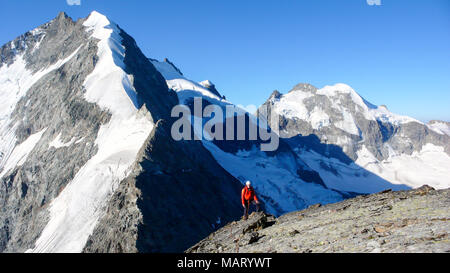 Guide de montagne en voie d'un haut sommet alpin près de Pontresina dans les Alpes Suisses avec le majestueux Bianco Ridge et le Piz Bernina à l'arrière-plan Banque D'Images