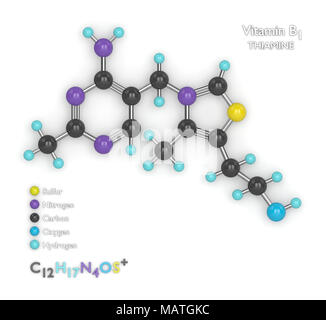 De rendu 3D avec le modèle moléculaire formule moléculaire de la vitamine B1 sur fond blanc Banque D'Images