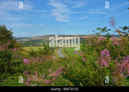 Cuckmere qui traverse la rivière Cuckmere Valley dans les South Downs, East Sussex, England, UK Banque D'Images