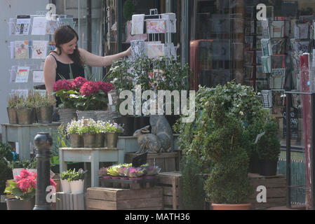 High street fleuriste, Meads, Eastbourne, East Sussex, England, UK Banque D'Images