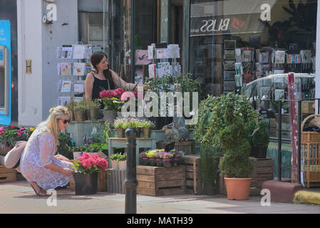 High street fleuriste, Eastbourne, East Sussex, England, UK Banque D'Images