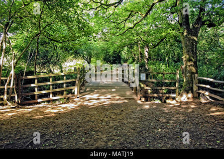 Pont de Winnie l’ourson Banque D'Images