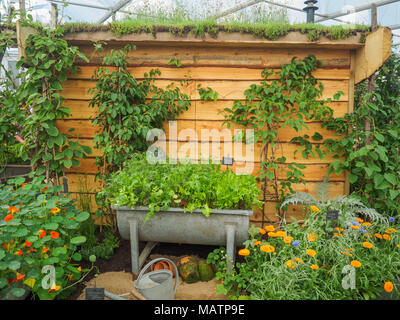 Londres, Royaume-Uni - 25 MAI 2017 : RHS Chelsea Flower Show 2017. Plantes et fleurs affiche du Grand Pavillon. Banque D'Images