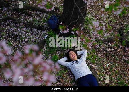 Femme japonaise au-dessous d'arbre sakura Banque D'Images