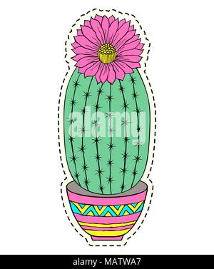 Cactus dessiné à la main Illustration de Vecteur