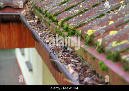 Le nettoyage de gouttière sale mousse et feuilles. Bâtiment avec toit à tuiles impurs après l'hiver. Le nettoyage de printemps. Banque D'Images