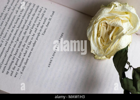 Dernière page de 'Le journal d'une jeune fille' par Anne Frank, montrant les mots 'le journal d'Anne se termine ici" avec une rose blanche flétri placé sur le livre Banque D'Images