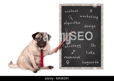 Pug dog holding entreprise aiguille rouge, soulignant l'optimisation des moteurs de recherche, SEO, stratégie de performance, hand drawn on chalkboard, isolated on white Banque D'Images