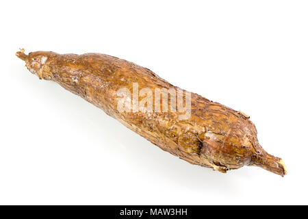 Les Racines de Manioc yuca isolé sur fond blanc avec chemin de détourage. Banque D'Images