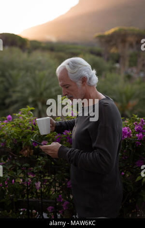 Man le café lors de l'utilisation de téléphone mobile au balcon Banque D'Images