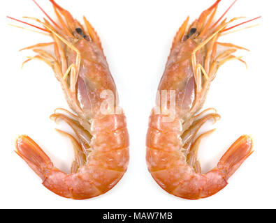 Crevettes fraîches ou des crevettes fraîches, les crevettes rouge isolé sur fond blanc, de l'alimentation arrière-plan. Banque D'Images