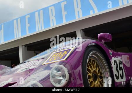 Le Mans Jaguar XJR-9 à la 73 e réunion des membres 2015 Goodwood. Banque D'Images