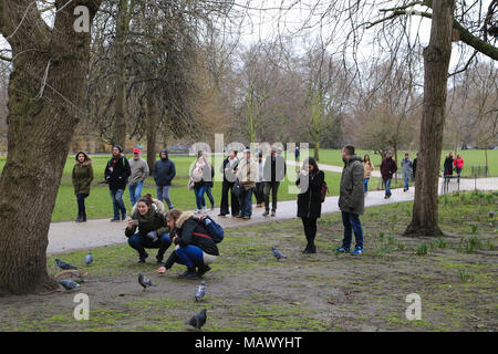 Les sections locales et touristiques dans St James Park sur une journée dans la capitale que la température atteint 9 degrés celsius après de fortes chutes de neige et des conditions météorologiques au cours de la semaine dernière à travers le Royaume-Uni. Avec : Atmosphère, voir Où : London, Royaume-Uni Quand : 04 mars 2018 Source : WENN Banque D'Images