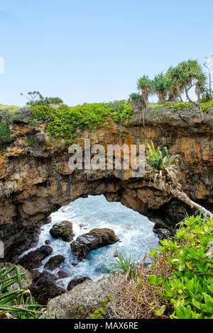 Terre Hufangalupe pont naturel sur la partie sud de l'île de Tongatapu à Tonga. Il a été formé lorsque le toit d'une grotte marine s'est effondré Banque D'Images