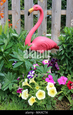 Flamand Rose et fleurs de jardin Banque D'Images