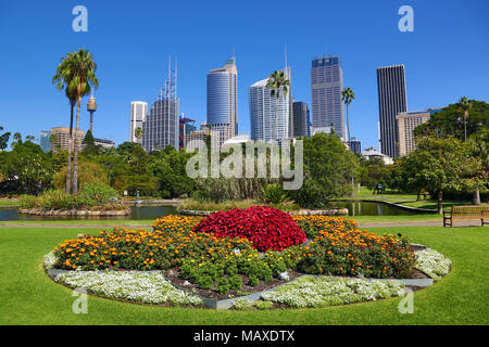 Ville de Sydney et de la CDB et les Royal Botanic Gardens, Sydney, New South Wales, Australia Banque D'Images