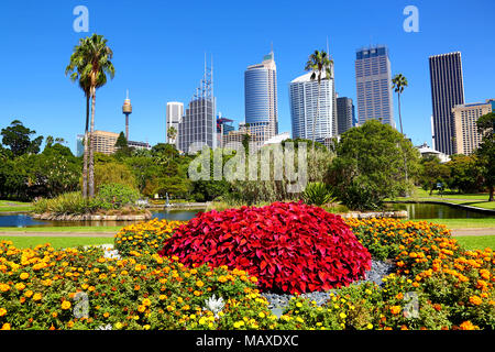 Ville de Sydney et de la CDB et les Royal Botanic Gardens, Sydney, New South Wales, Australia Banque D'Images