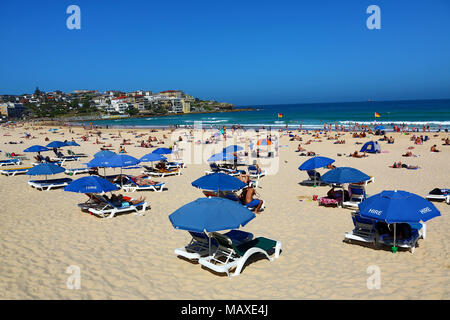 Parasols sur la plage de Bondi, Sydney, New South Wales, Australia Banque D'Images