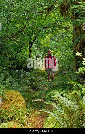 WA15018-00...WASHINGTON - Randonneur sur la fourche nord abandonné Sol Duc River Trail dans le Sol Duc domaine de la forêt tropicale du Parc National Olympique. Banque D'Images