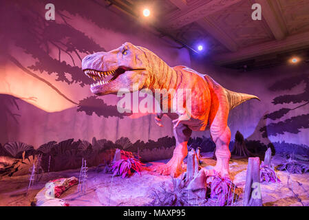 Modèle d'un animatronique dinosaure Tyrannosaurus rex au Natural History Museum, London, UK Banque D'Images