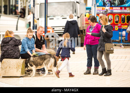 Pays de Galles Aberystwyth UK, le jeudi 05 avril 2018 Météo Royaume-uni : les personnes bénéficiant d'un après-midi de printemps chaud soleil, avec des températures dans les bas de l'adolescence c, au bord de mer à Aberystwyth, sur la côte ouest du pays de Galles Photo © Keith Morris / Alamy Live News Banque D'Images