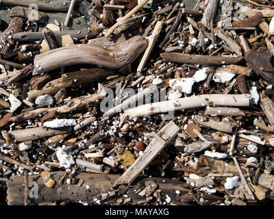 Problème de la pollution. Driftwood et billes de polystyrène sont rejetés sur la rive. Banque D'Images