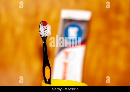 Gros plan d'une brosse à dents avec gygiene dentaire stuff en arrière-plan. Banque D'Images