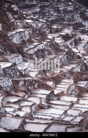 Salinas de Maras, les mines de sel de la Vallée Sacrée près de Cusco, Pérou Banque D'Images