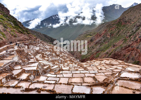 Salinas de Maras, les mines de sel de la Vallée Sacrée près de Cusco, Pérou Banque D'Images