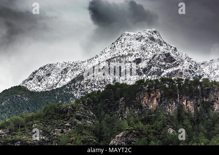 Paysage horizontal avec enneigés des montagnes couvertes de forêts de pins Banque D'Images