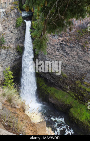 Spahats Falls est une destination touristique populaire dans le parc provincial Wells Gray Clearwater British Columbia Canada Banque D'Images