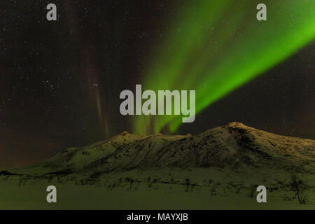 Northern Lights plus de montagnes couvertes de neige, près de Tromso, Norvège Banque D'Images