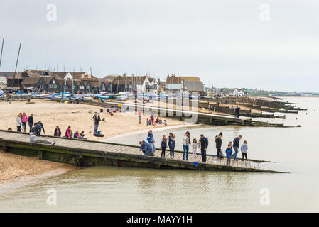 Bois épis à Whitstable, Kent, UK Banque D'Images