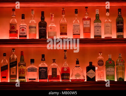 Plusieurs bouteilles de whisky sur l'étagère d'un bar, allumé rouge, Rhénanie du Nord-Westphalie, Allemagne Banque D'Images