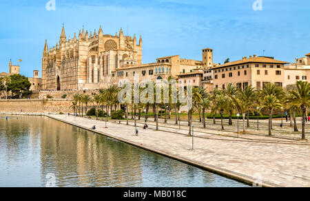 La Cathédrale La Seu à Palma de Mallorca Banque D'Images