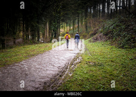 Deux personnes marchant le long d'une voie ferrée à Cardinham Woods à Bodmin à Cornwall. Banque D'Images