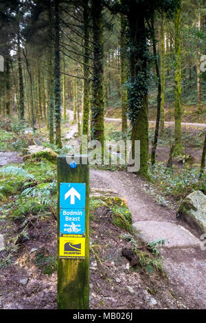 Un panneau en bois donnant des directives à la bête de Bodmin Sentier de vélo de montagne dans la région de Cardinham Woods à Bodmin à Cornwall. Banque D'Images