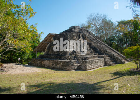 Chacchoben Myan ruines début city à la destination de croisière Costa Maya au Mexique en Amérique centrale est un arrêt populaire sur le navire de croisière des Caraïbes de l'Ouest Banque D'Images