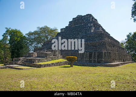 Chacchoben Myan ruines début city à la destination de croisière Costa Maya au Mexique en Amérique centrale est un arrêt populaire sur le navire de croisière des Caraïbes de l'Ouest Banque D'Images