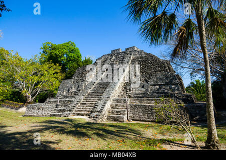 Chacchoben Myan ruines début city à la destination de croisière Costa Maya au Mexique en Amérique centrale est un arrêt populaire sur le navire de croisière des Caraïbes de l'Ouest Banque D'Images