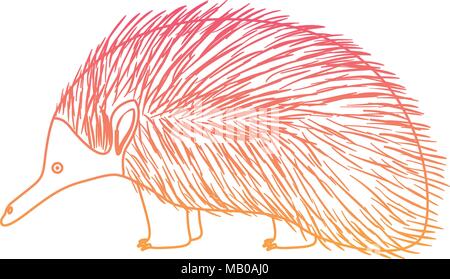 L'échidné sauvage créature australienne Illustration de Vecteur