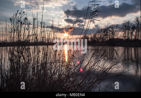 Belle scène idylic - coucher de soleil sur le lac. Les nuages éclairés par le soleil qui se reflètent sur la surface de l'eau. Autour du lac les arbres pousser. À l'habillage Banque D'Images