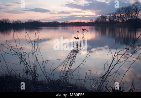 Belle scène idylic - coucher de soleil sur le lac. Les nuages éclairés par le soleil qui se reflètent sur la surface de l'eau. Autour du lac les arbres pousser. Le frotte Banque D'Images