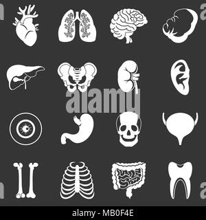 Les organes humains icons set vector gris Illustration de Vecteur