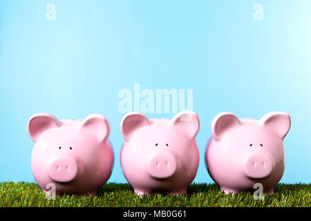 Trois pink Piggy Banks sur herbe avec ciel bleu. Studio shot avec un fond bleu. L'espace pour copier. Banque D'Images