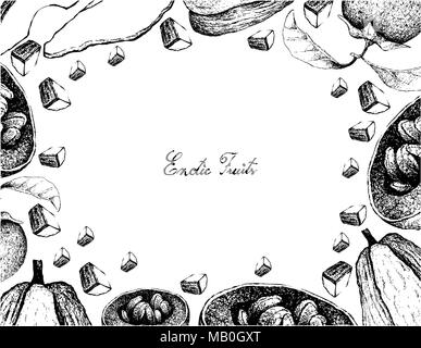 Fruits et légumes, Illustration cadre de croquis à main de chayotte ou Sechium edule et australienne Sapote noire ou Chocolat au lait Fruit Illustration de Vecteur